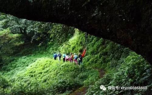 小猫钓鱼游戏龙王版有船