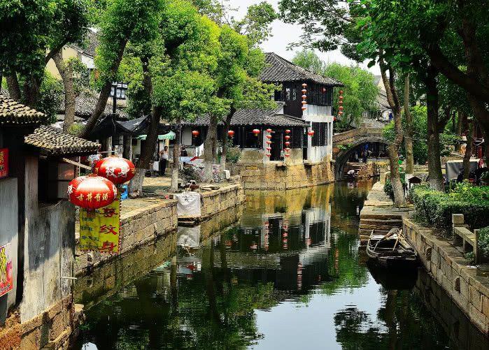 细胞分裂6