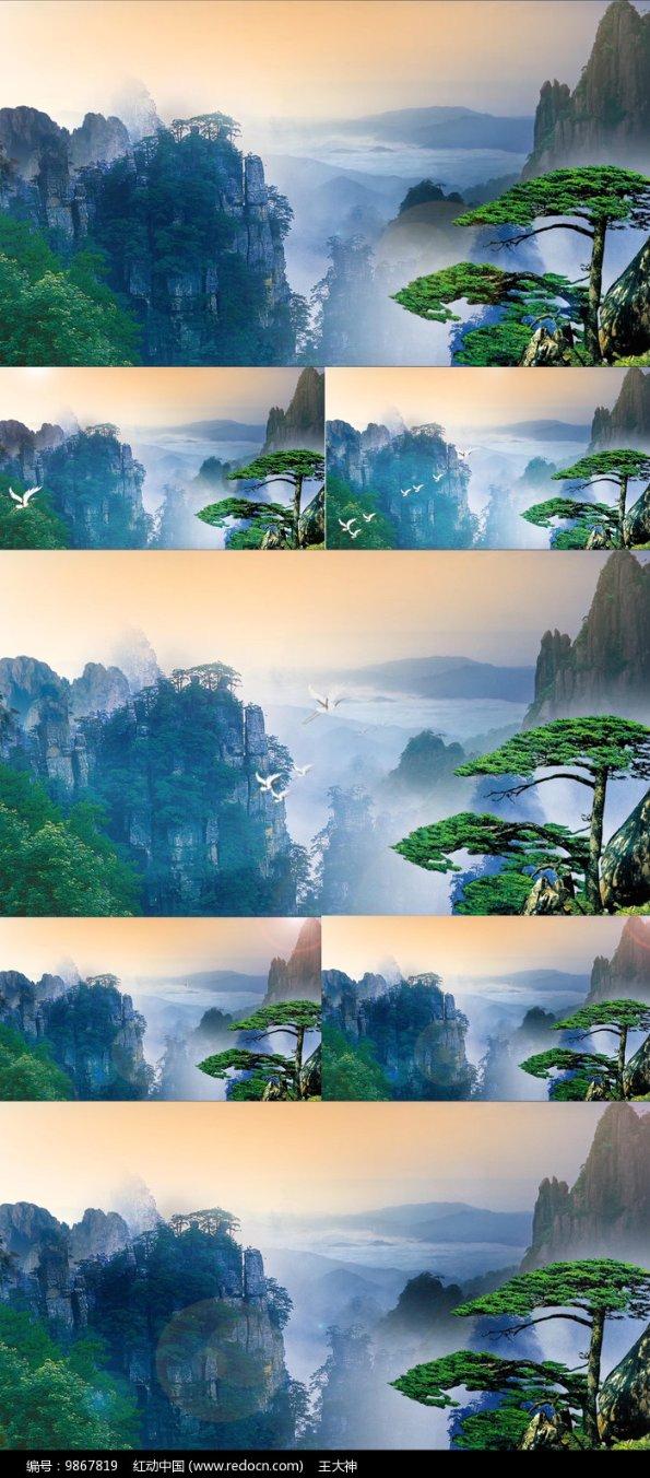 中华秋沙鸭连续17年在江西龙虎山越冬